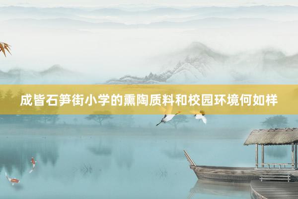 成皆石笋街小学的熏陶质料和校园环境何如样