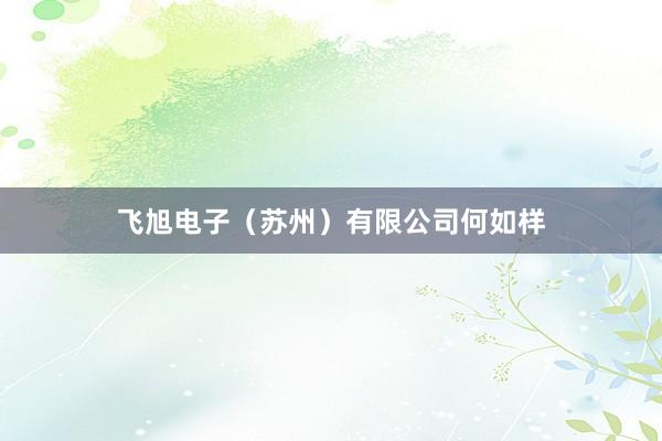 飞旭电子（苏州）有限公司何如样